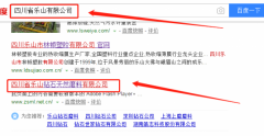 四川省樂山鉆石天然磨料有限責任公司跟本公司簽訂網(wǎng)頁設(shè)計項目