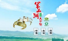 江西省進(jìn)賢縣軍*湖魚蟹開(kāi)發(fā)公司做網(wǎng)站有創(chuàng)意的主題設(shè)計(jì)