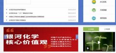 四川省銀*化學股份有限公司網(wǎng)站建設基本流程